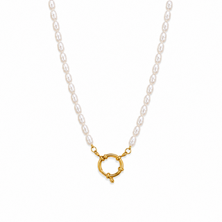Pearl necklace with a gold clasp on a white background