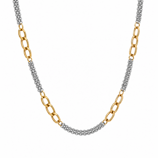 Two Tone Chunky & Dainty Chain Necklace